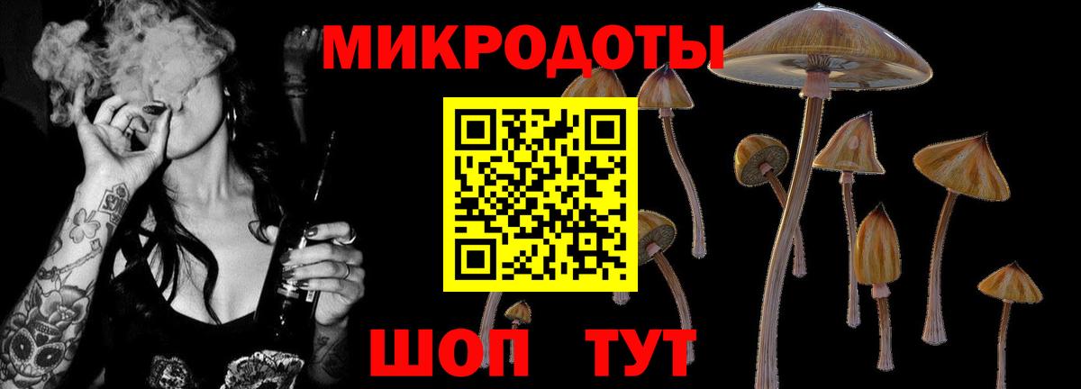 наркота  Вход с VPN  Гудермес  Галлюциногенные грибы Cubensis 